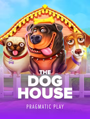 dog house
